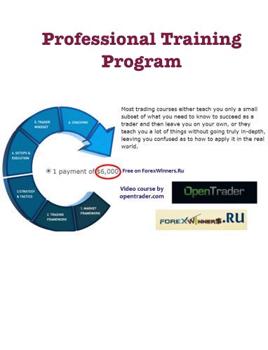 OpenTrader - Professional Training Program